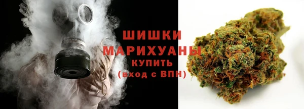 ГАЛЛЮЦИНОГЕННЫЕ ГРИБЫ Переславль-Залесский