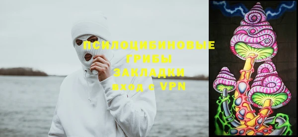 соль ск Дмитровск