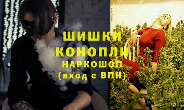 соль ск Дмитровск