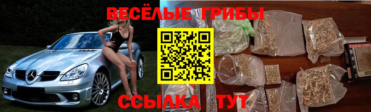 Псилоцибиновые грибы Magic Shrooms  Вход с VPN  Канск  Галлюциногенные грибы Magic Shrooms 