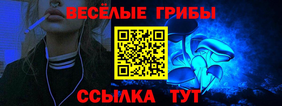 Галлюциногенные грибы Cubensis Канск